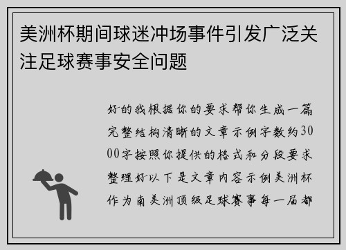 美洲杯期间球迷冲场事件引发广泛关注足球赛事安全问题 美洲杯期间球迷冲场事件引发广泛关注足球赛事安全问题